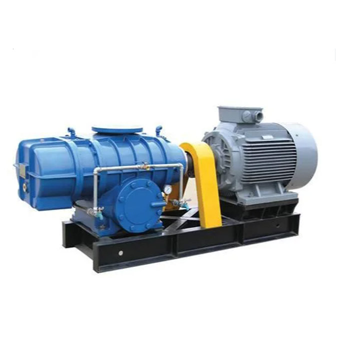 Direct Coupling Air Blowers Rotary: Unleashing ປະສິດທິພາບແລະພະລັງງານ