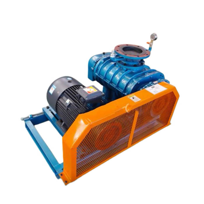 3 Lobes Blower Vacuum Pump ສໍາລັບການຫຸ້ມຫໍ່ອາຫານ