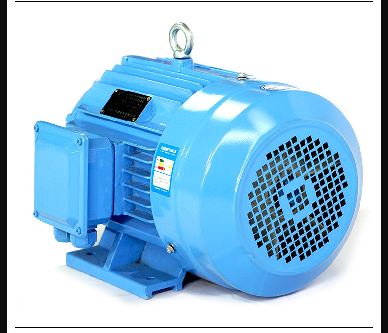 ແຮງດັນໄຟຟ້າສູງ AC Asynchronous Induction Motor